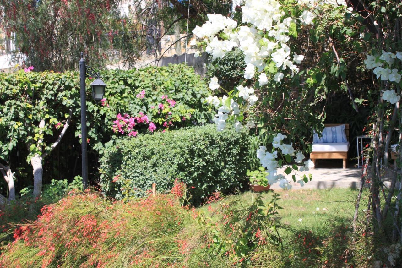 Villa Cosy Yalikavak Exterior photo